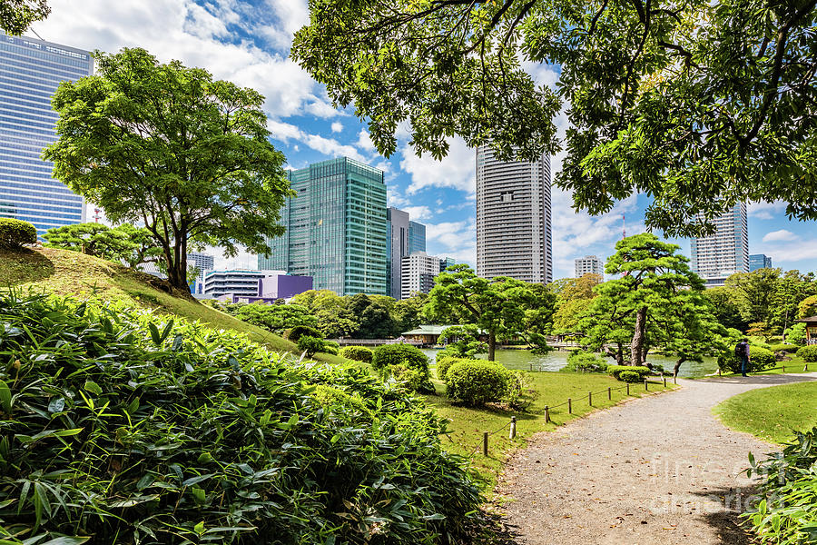 A walk through Hama Rikyu gardens, Tokyo Photograph by Lyl Dil Creations