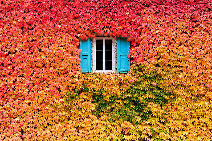 A wall of fall Photograph by Eric Forey - Kala Photographie