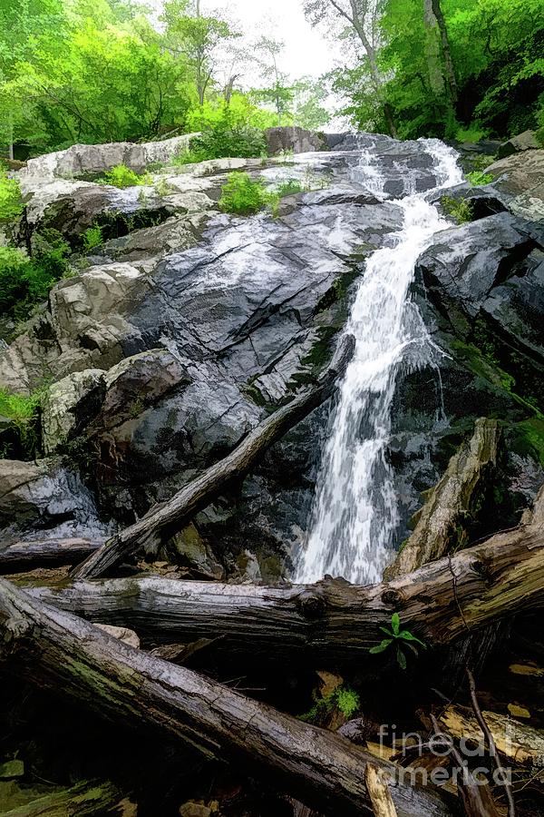 A waterfall at Fallingwater Cascades near Peaks of Otter along the Blue Ridge Parkway near Bedford, VA. Photograph by William Kuta