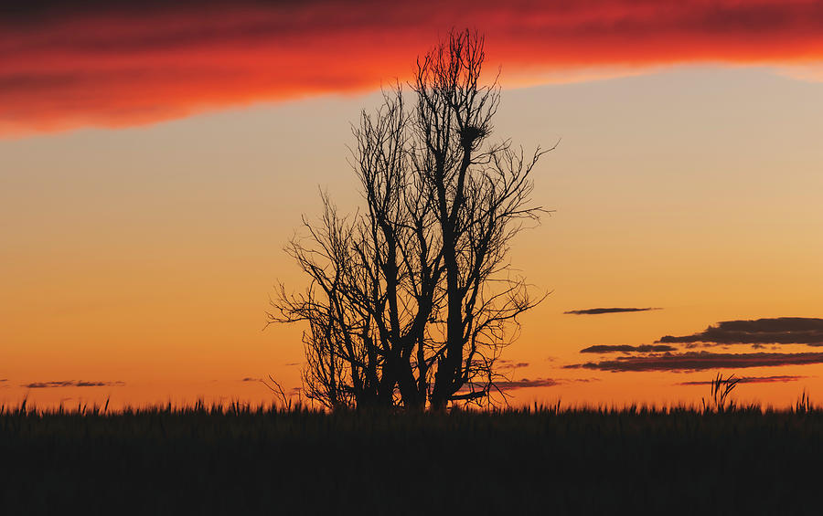 A Western Sunset Photograph by Brian Gustafson