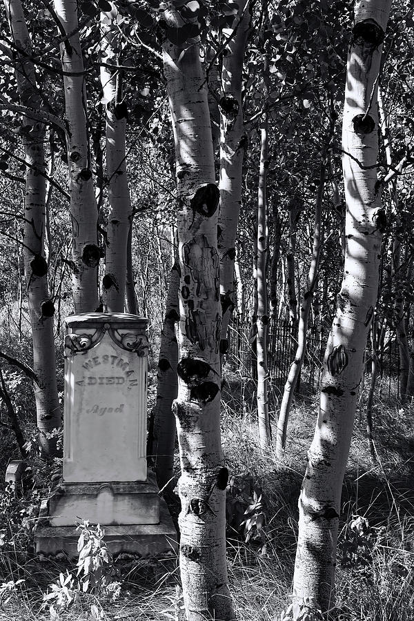 A Westman headstone BW Photograph by Cathy Anderson