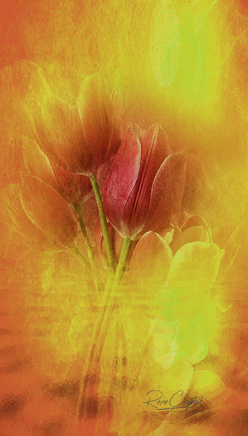 A Whisper Of Tulips Photograph by Rene Crystal