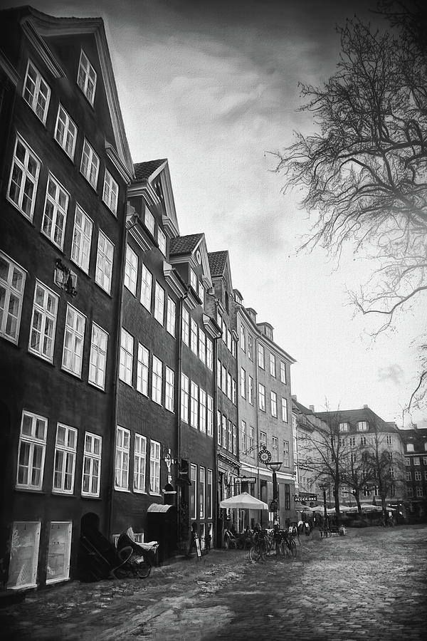 A Whisper Of Winter Copenhagen Denmark Black And White Photograph