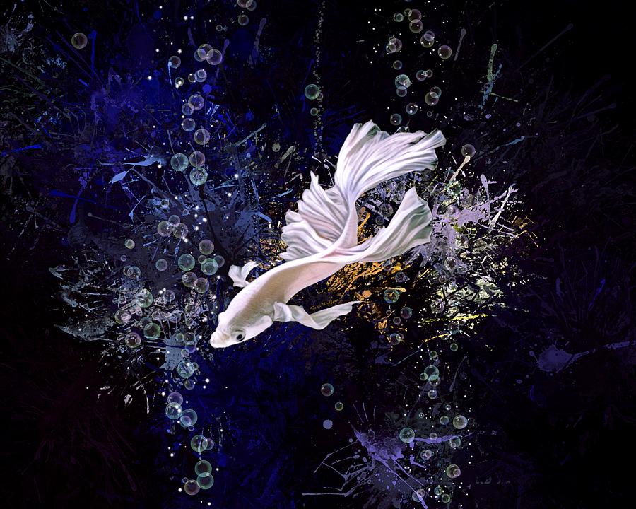 A White Diving Betta Fish Digital Art