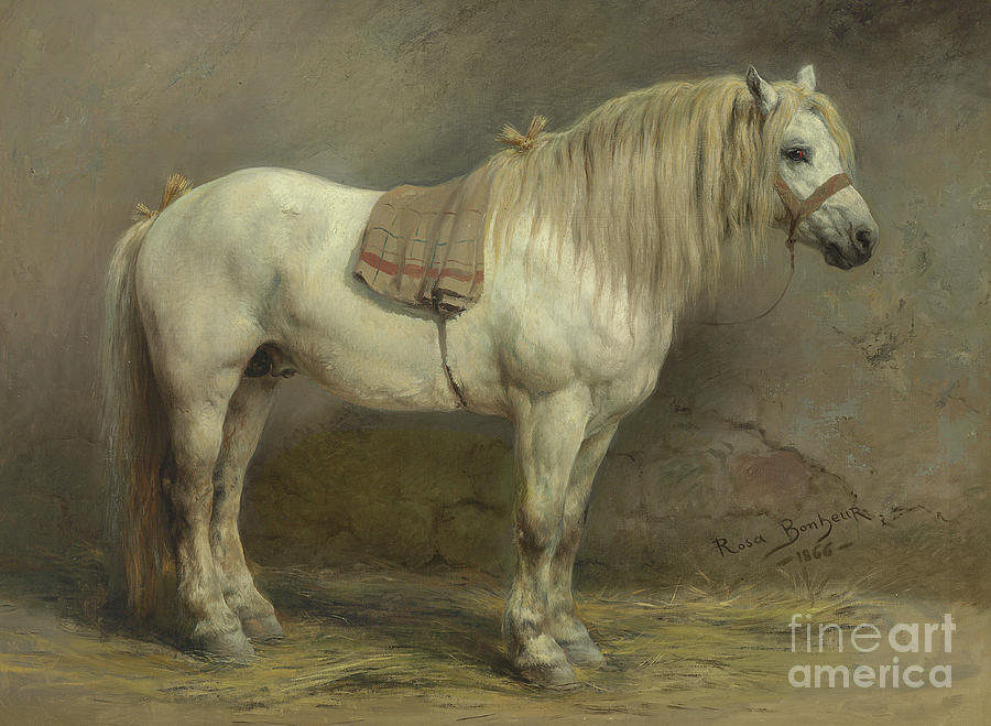 A White Horse, 1866 Painting by Rosa Bonheur