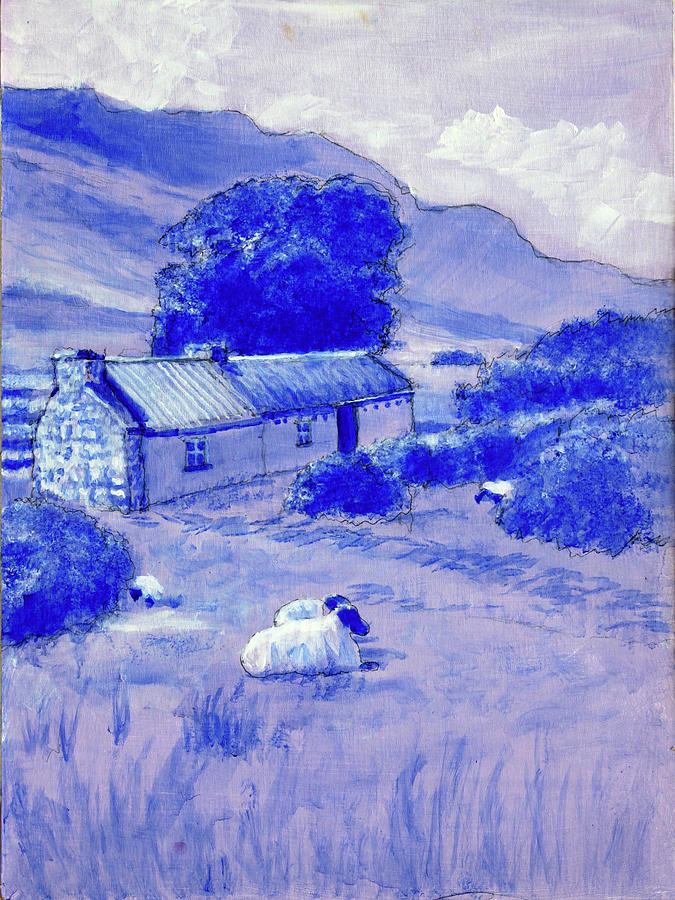 A Wicklow Cottage Drawing by David Zimmerman