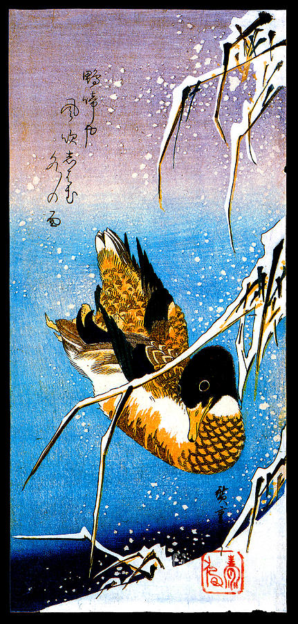 A Wild Duck Swimming Beneath Snow-laden Reeds Painting