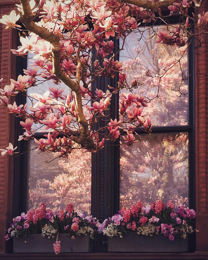 A Window on Spring Photograph by Brian McWilliams