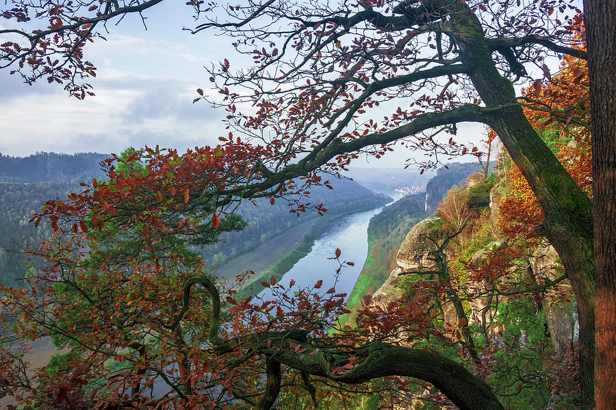 Window to the Elbe in Saxon Switzerland Photograph by Sun Travels