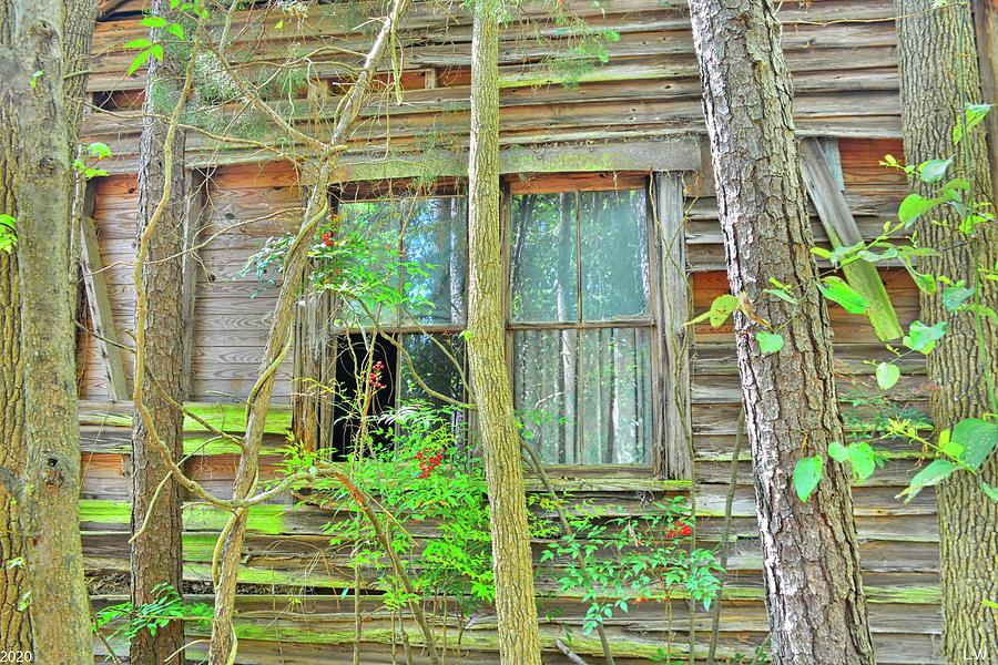 A Window To The Past Photograph by Lisa Wooten