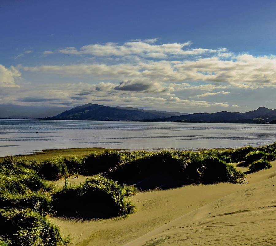 A Windy Beach Photograph by Earthling Child Haven On Earth - Fine Art ...