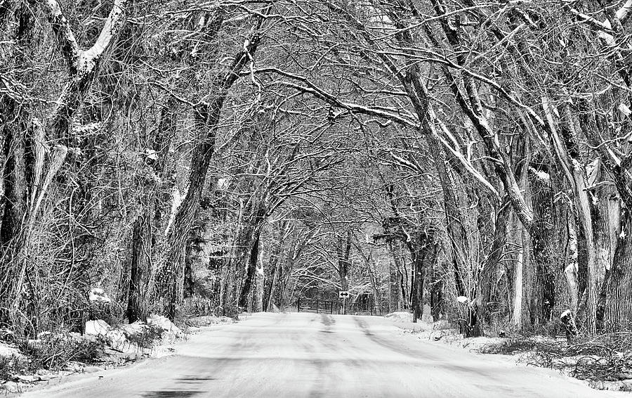 A Winter Drive Black and White Photograph by JC Findley