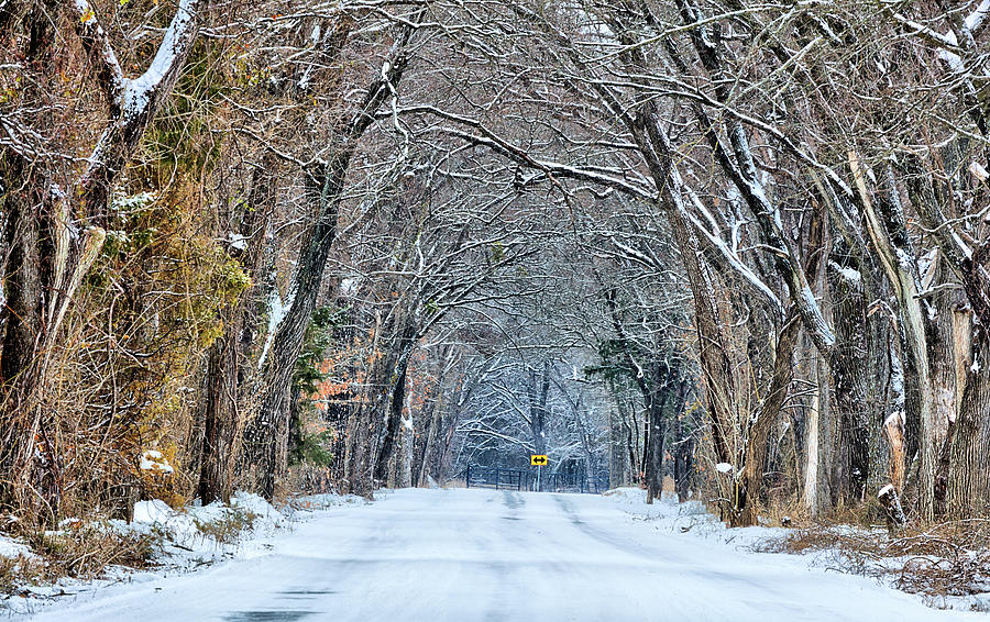 A Winter Drive in Texas Photograph by JC Findley