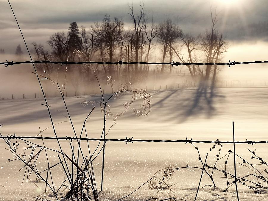 Winter Photograph - A Winter Morning by Linda McRae