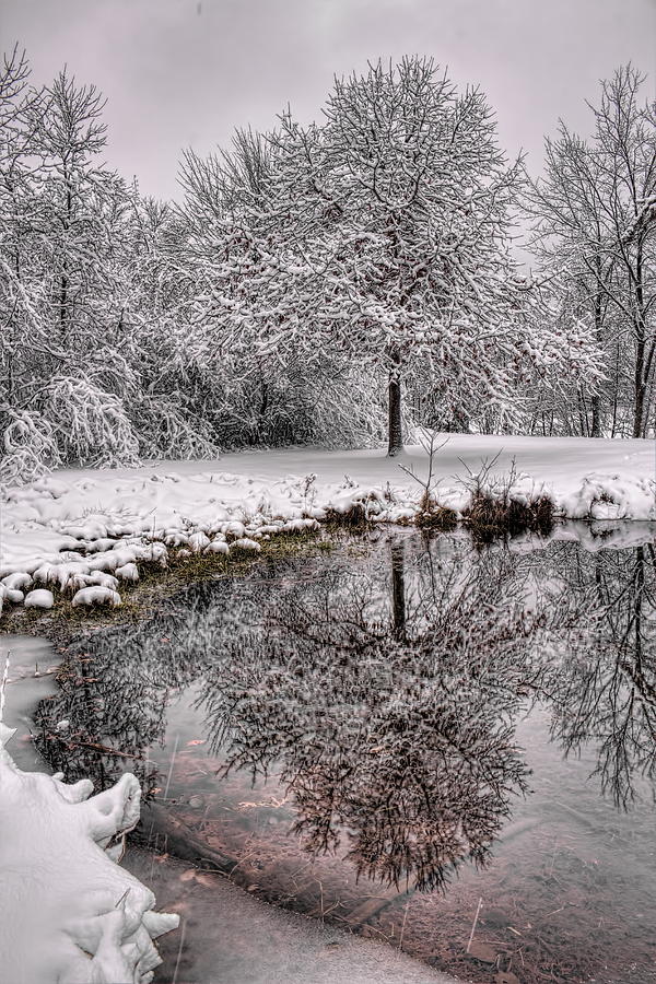 A Winter Reflection Photograph by Dale Kauzlaric