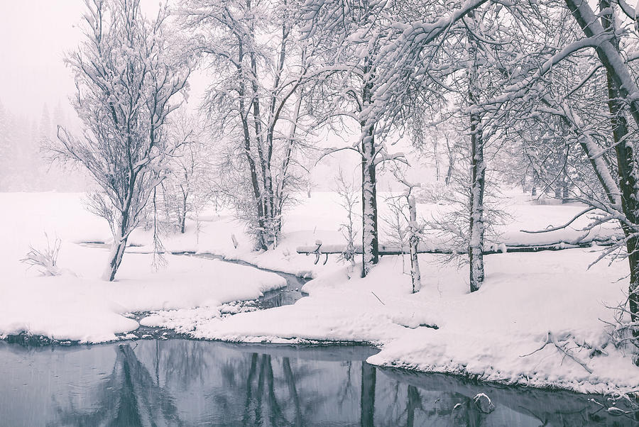 A Winter Scene 2 Photograph by Jonathan Nguyen