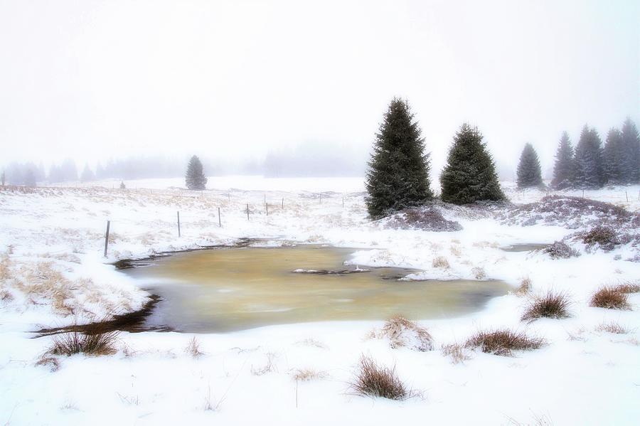 A Winter Scene Photograph by James DeFazio