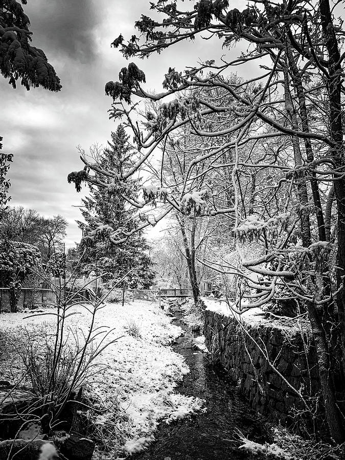 A Winter Scene Photograph by Jim Feldman