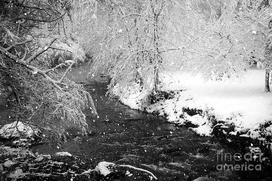 A Winter Scene Photograph by Shelia Hunt