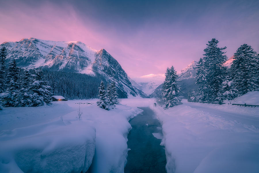 A winter sunrise at Lake Louise Photograph by Henry w Liu
