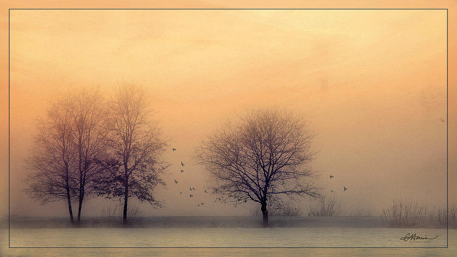 A Winter Sunset Digital Art by Cindy Collier Harris
