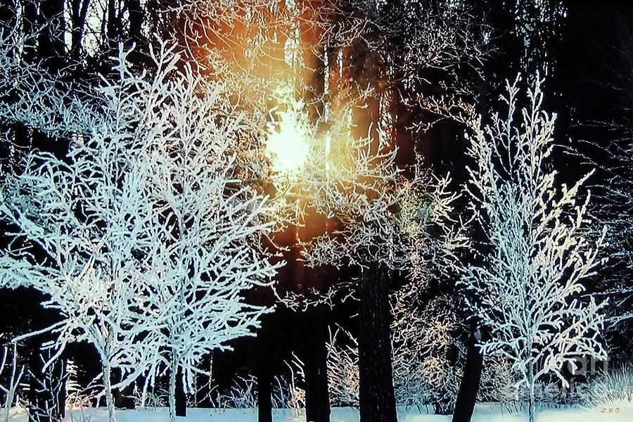 A Winter Sunsplash Photograph by L J Oakes