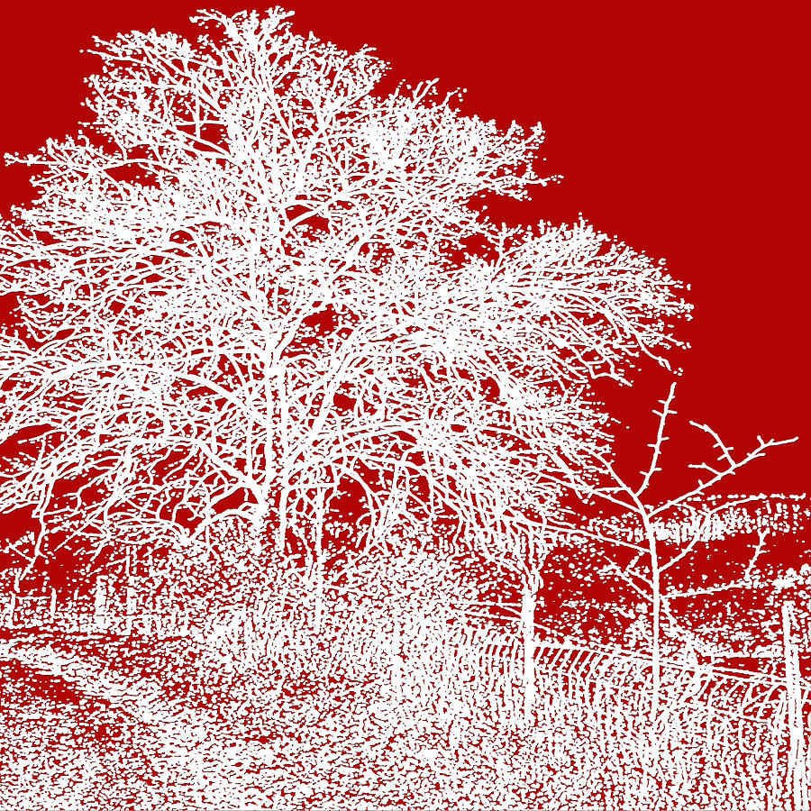 A Winter Tale In Red Mixed Media
