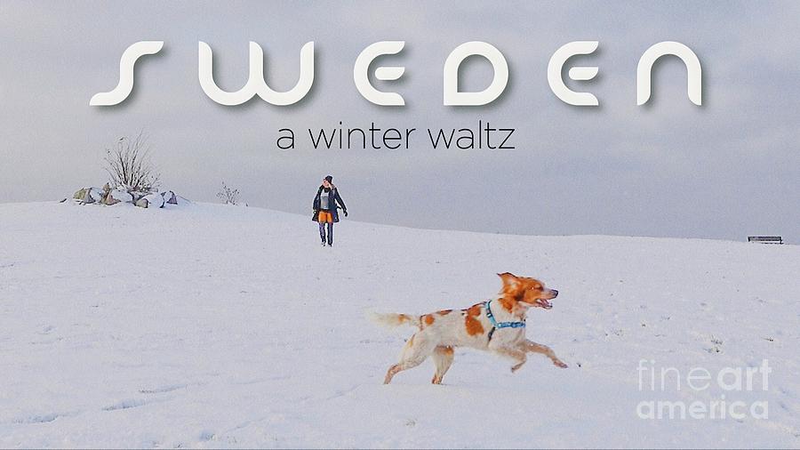 A Winter Waltz  Photograph by Alexandra Vusir