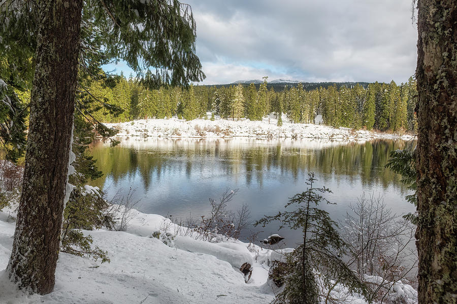 A Winters Walk Alongside Clear Lake Photograph by Belinda Greb