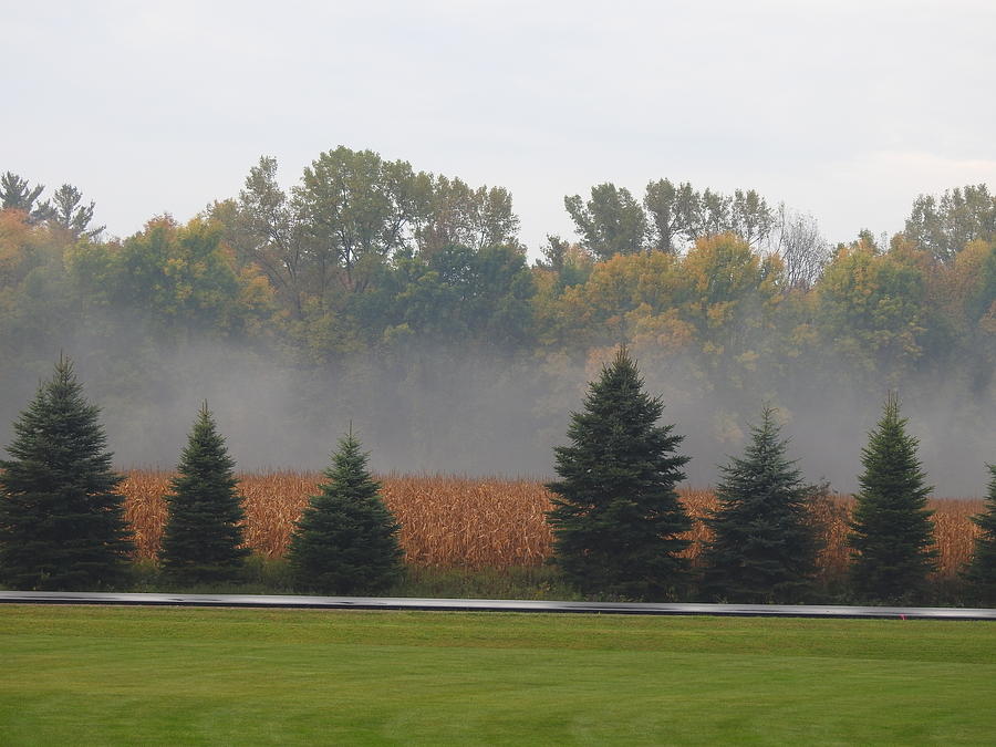 A Wisconsin Autumn Morning Photograph by Barbara Ebeling