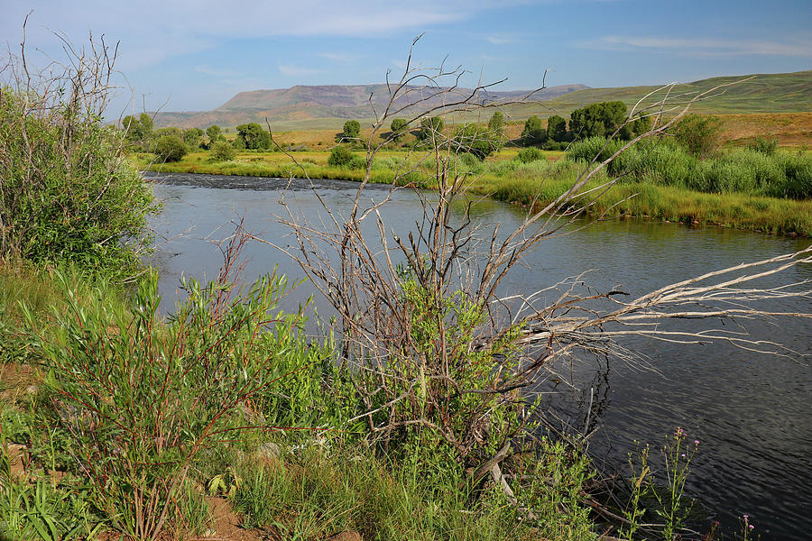 A Walk Along The Colorado River Photograph
