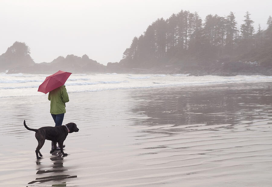 A woman and her dog walking along a beach Photograph by Shanna Baker