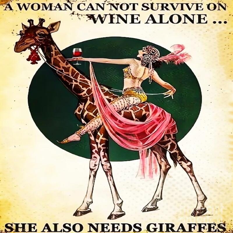 A Woman And Her Giraffe Digital Art