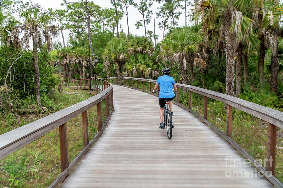 A woman rides a bicycle on a boardwalk on the Gordon River Green Photograph by William Kuta