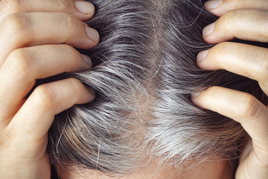 A woman showing her gray hair roots. Going gray concept. Photograph by Professor25