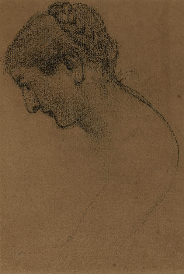 A Womans Head Drawing by Pierre Puvis de Chavannes