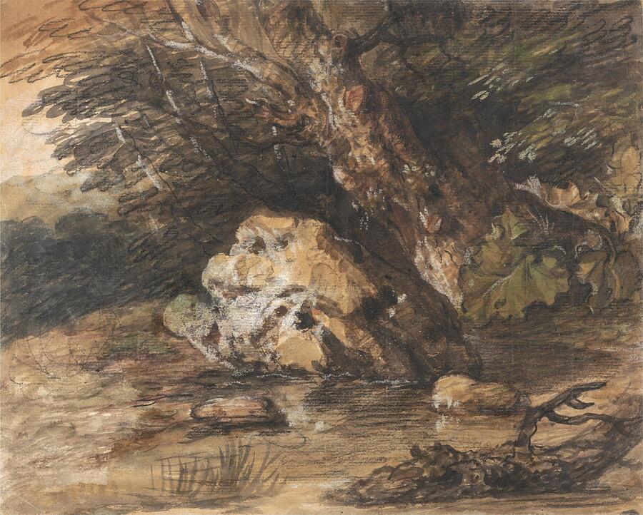 Wildlife Painting - A Woodland Pool with Rocks and Plants by Thomas Gainsborough English
