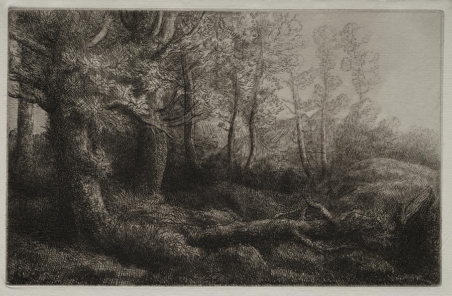 A Woodland Study Date unknown Alphonse Leg r o s French, 1837 to 1911 Painting by MotionAge Designs