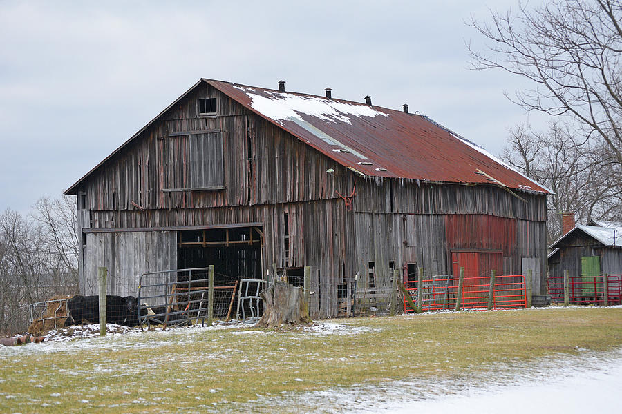 A Working Barn Photograph by Robert Tubesing | Fine Art America