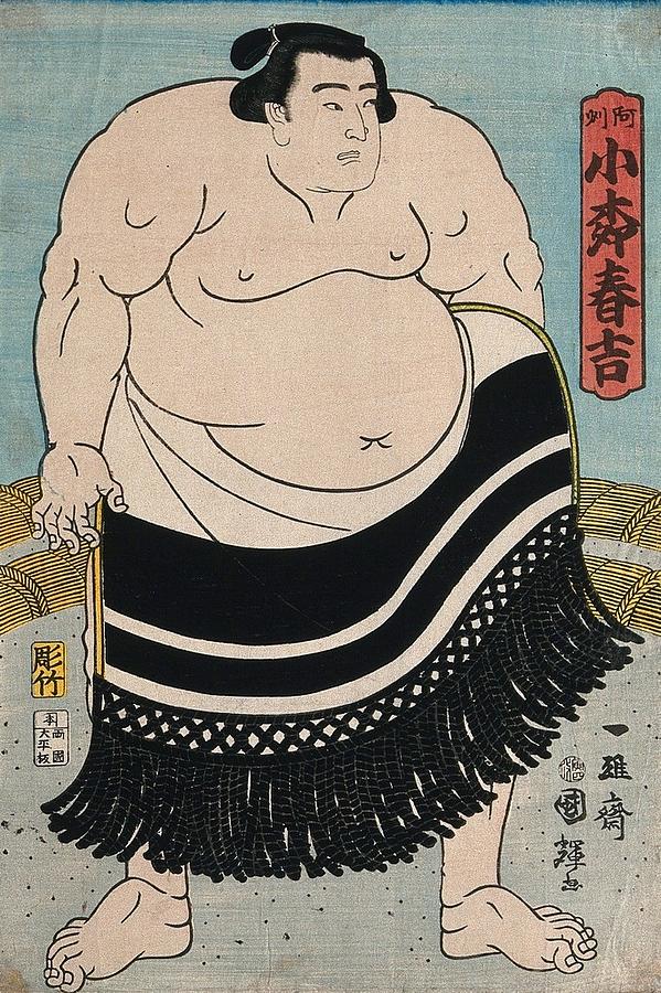 A wrestler in a ring facing right and wearing a formal apron. Colour woodcut by Kuniteru, 1866 Painting by Artistic Rifki