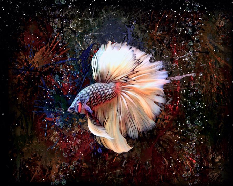 A Yellow Copper Rosetail Betta Fish Digital Art