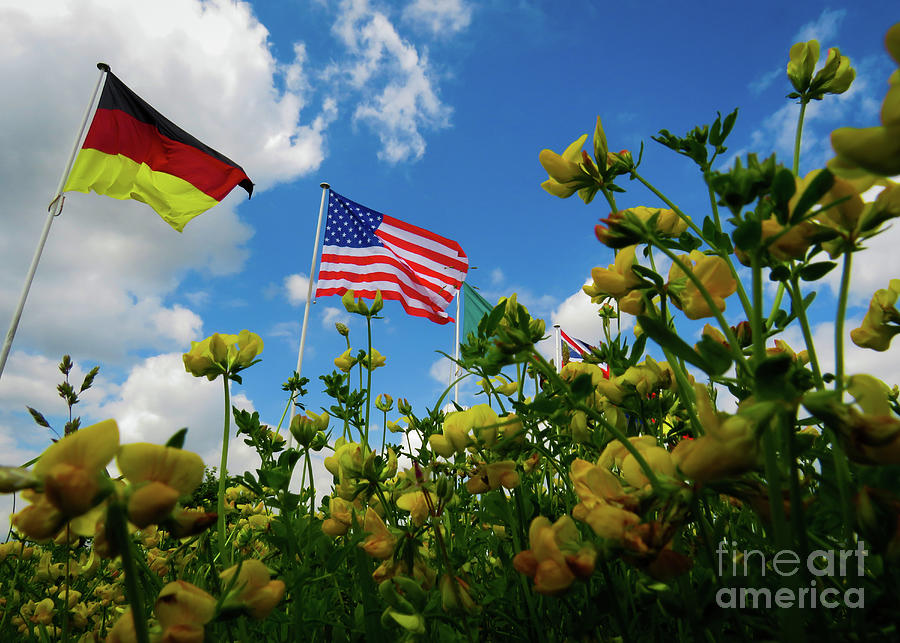 A Yellow Flowers View Of The Usa And German Flags Photograph