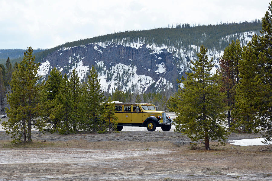 A Yellow Yellowstone Bus in the Upper Geyser Basin Photograph by Bruce Gourley