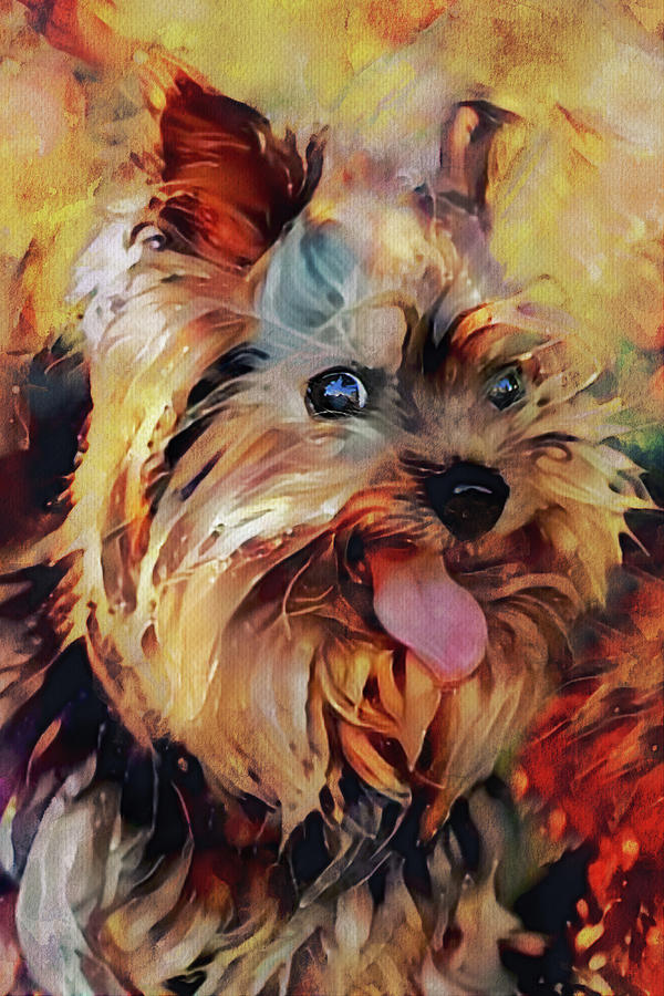 A Yorkie Named Suzy Q Digital Art by Peggy Collins