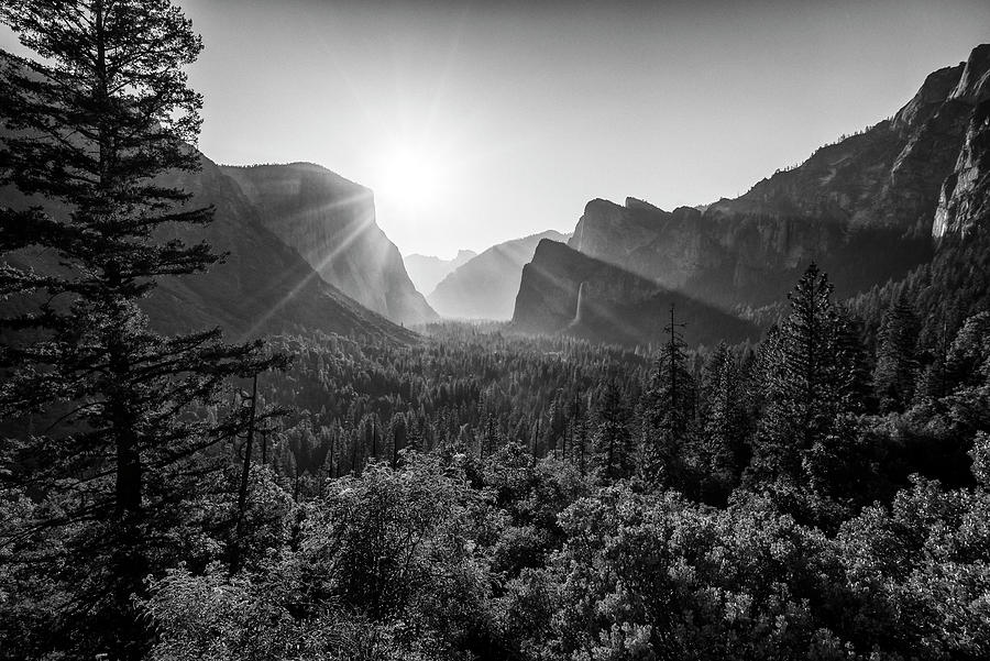 A Yosemite Valley Morning - In Monochrome Photograph by Joseph S Giacalone