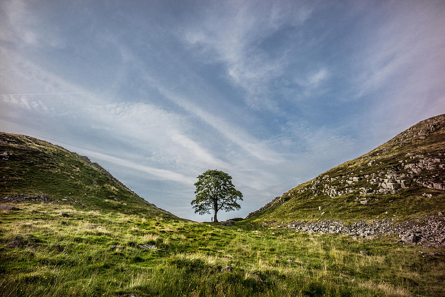 A young boy at Sycamore Gap on the Hadrians wall Photograph by Roy JAMES Shakespeare