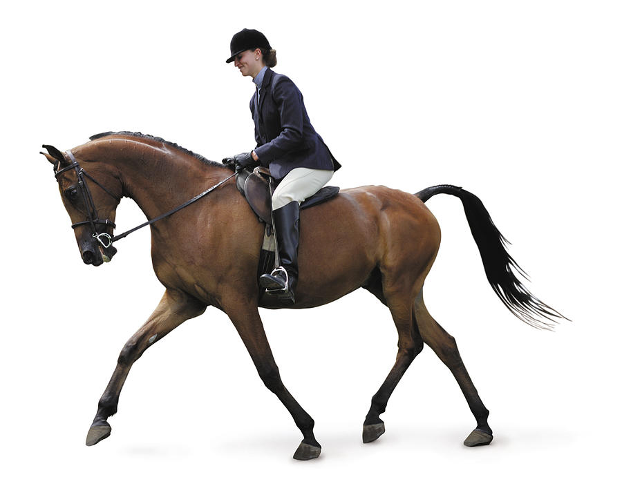 A Young Caucasian Woman Dressed In English Equestrian Clothes Is Riding A Brown Horse Photograph by Photodisc