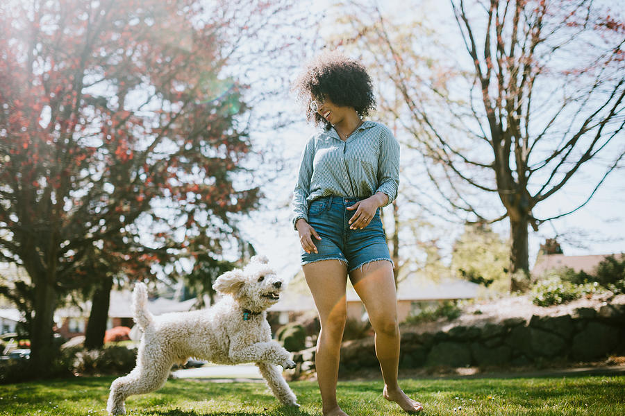 A Young Woman Plays Outside With Pet Poodle Dog Photograph by RyanJLane
