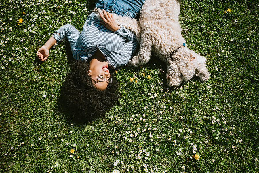 A Young Woman Rests in the Grass With Pet Poodle Dog Photograph by RyanJLane