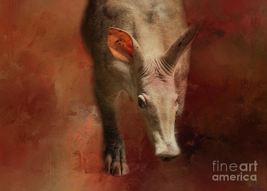 Aardvark Photograph by Eva Lechner